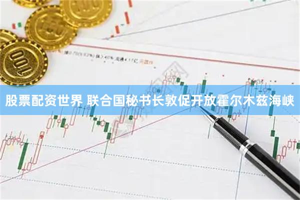 股票配资世界 联合国秘书长敦促开放霍尔木兹海峡