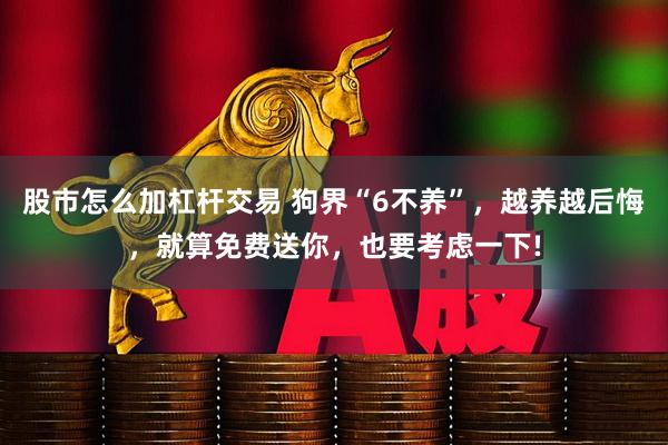 股市怎么加杠杆交易 狗界“6不养”，越养越后悔，就算免费送你，也要考虑一下!